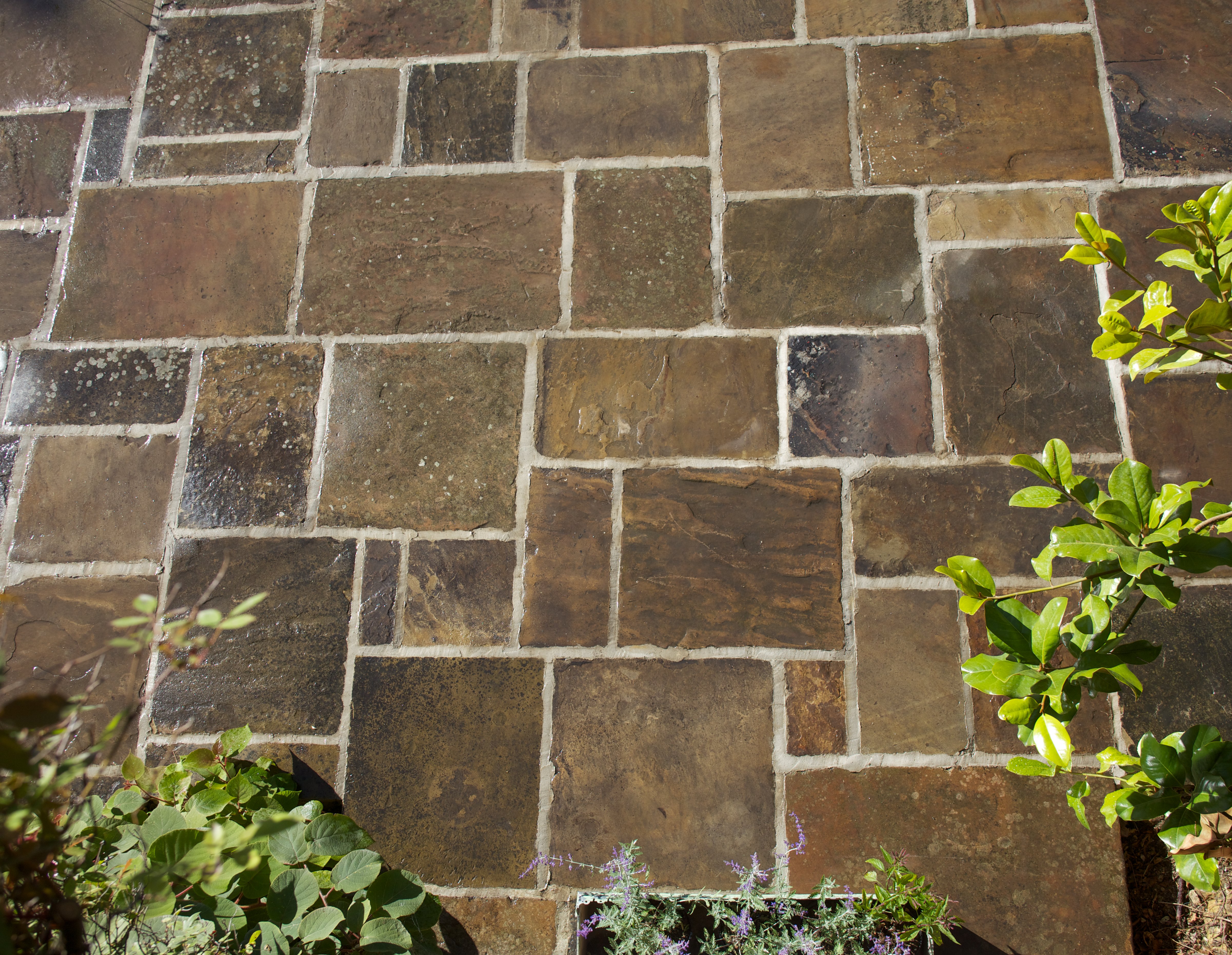 New and reclaimed Yorkstone paving in Broadbridge Heath